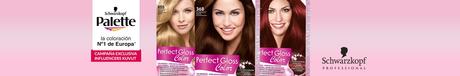 Campaña Palette Perfect Gloss Color de Testamus