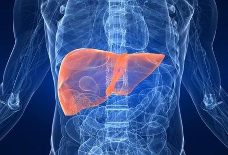 higaod1 Cómo mantener un hígado sano mediante la alimentacion