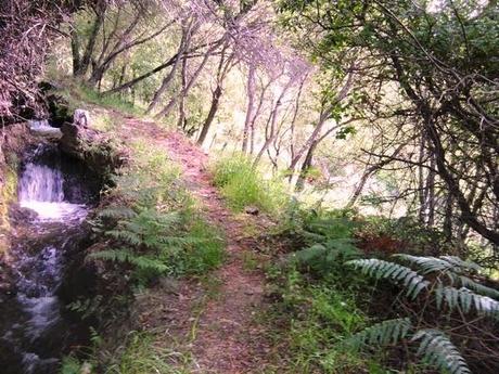 La energía del cambio