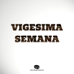 Pronokal: vigésima semana