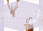 shop también decoramos cabezas animales