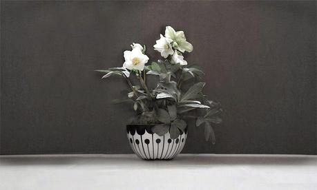 Frjor: Seis cuencos, múltiples posibilidades