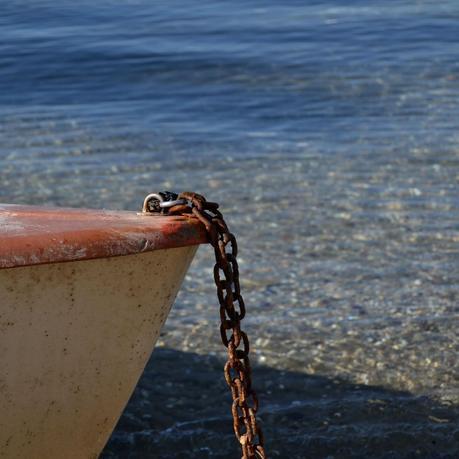MEJILLONES A LA CREMA DE VINO BLANCO Y AZAFRAN