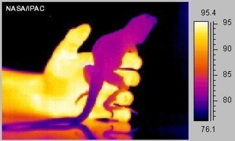 Lentillas de grafeno