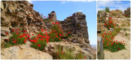 EL INVITADO DEL MES: I CAKE 4 U. CUPCAKES PARA ISABEL