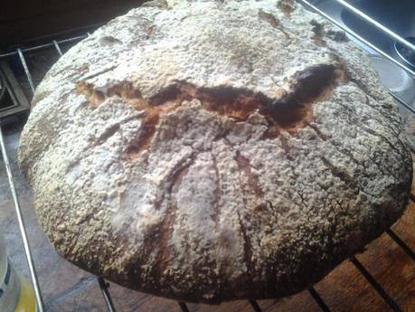 HOGAZA DE PAN INTEGRAL ....UNA LOCURA