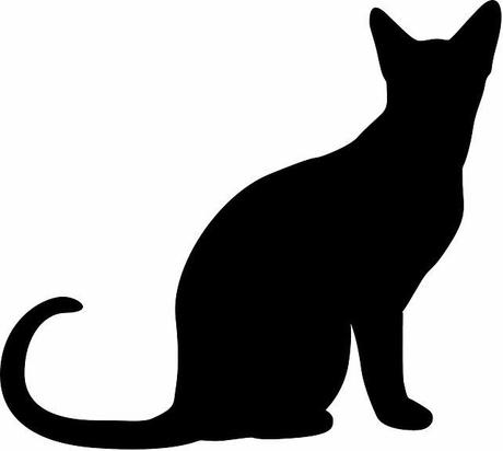 El gato de Shrödinger