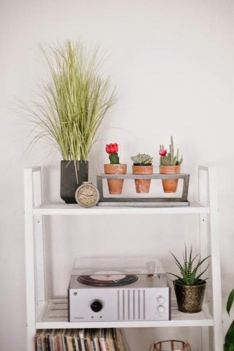 ¿Que aportan las flores a nuestro hogar? + SORTEO ¿Que aportan las flores a nuestro hogar? + SORTEO