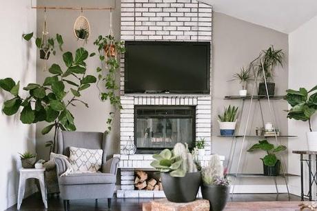 ¿Que aportan las flores a nuestro hogar? + SORTEO ¿Que aportan las flores a nuestro hogar? + SORTEO