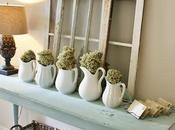 ¿Que aportan flores nuestro hogar? SORTEO