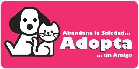 Adoptar a una mascota... es lo mejor? Adoptar a una mascota... es lo mejor?