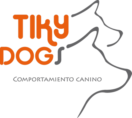 Ejercitando la mente de nuestras mascotas.