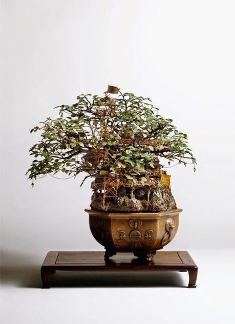 Ciudades bonsai
