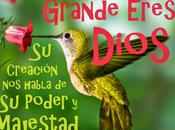 Dios grande eres