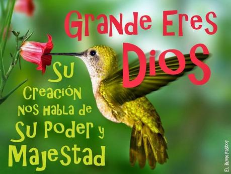 Oh mi Dios grande eres