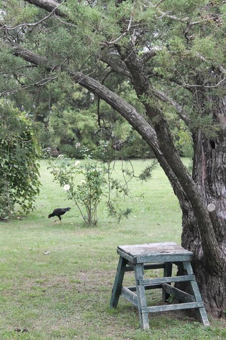 Casa de campo en Argentina...