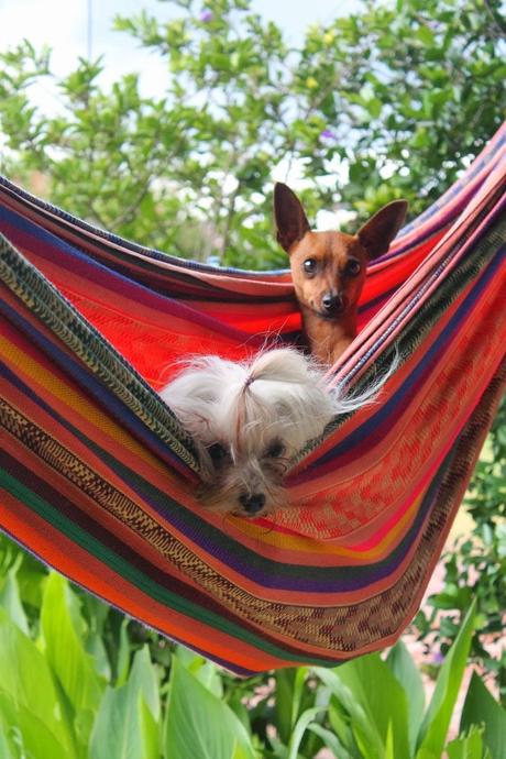 Casa de campo en Argentina...