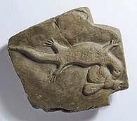 Beringer y el bromazo paleontológico más pesado de la Historia