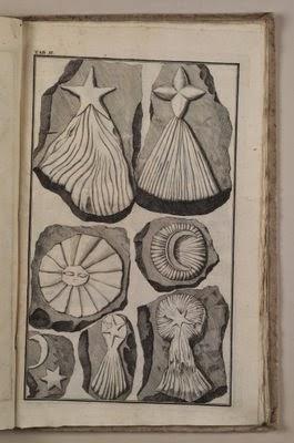 Beringer y el bromazo paleontológico más pesado de la Historia