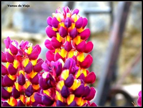 ???????????????????????????????