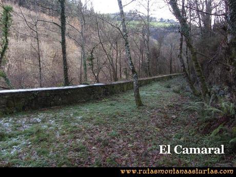 Senda de Bustavil, Tineo, PR AS-288: El Camaral Senda de Bustavil, Tineo, PR AS-288: El Camaral