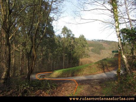 Senda de Bustavil, Tineo, PR AS-288: Cruce con carretera Senda de Bustavil, Tineo, PR AS-288: Cruce con carretera