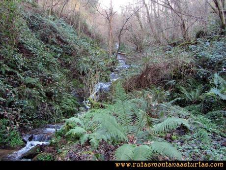 Senderismo por Tineo: Senda de Bustavil (PR AS-288) desde El Valle de Tablado Senderismo por Tineo: Senda de Bustavil (PR AS-288) desde El Valle de Tablado