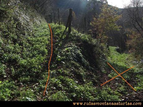 Senda de Bustavil, Tineo, PR AS-288: Saliendo de Bustellón hacia El Valle de Tablado Senda de Bustavil, Tineo, PR AS-288: Saliendo de Bustellón hacia El Valle de Tablado