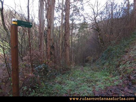 Senda de Bustavil, Tineo, PR AS-288: Cruce con carretera, cerca de sierra hidráulica Senda de Bustavil, Tineo, PR AS-288: Cruce con carretera, cerca de sierra hidráulica