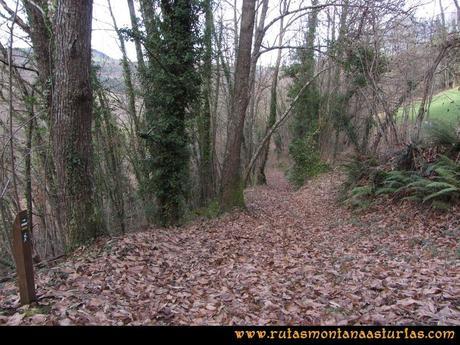 Senda de Bustavil, Tineo, PR AS-288: El Menendo