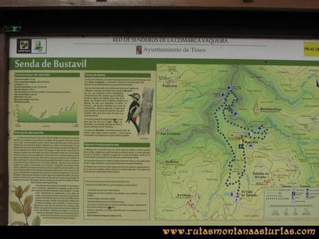 Senderismo por Tineo: Senda de Bustavil (PR AS-288) desde El Valle de Tablado
