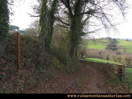 Senderismo por Tineo: Senda de Bustavil (PR AS-288) desde El Valle de Tablado Senderismo por Tineo: Senda de Bustavil (PR AS-288) desde El Valle de Tablado