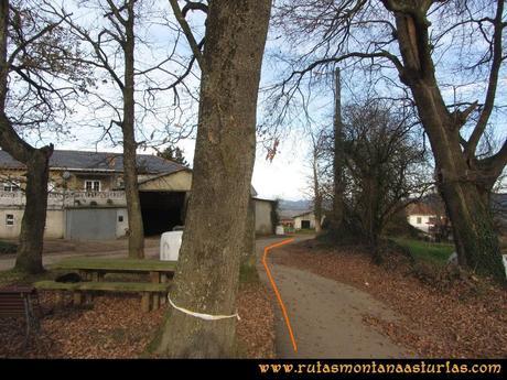 Senda de Bustavil, Tineo, PR AS-288: Inicio de la ruta Senda de Bustavil, Tineo, PR AS-288: Inicio de la ruta