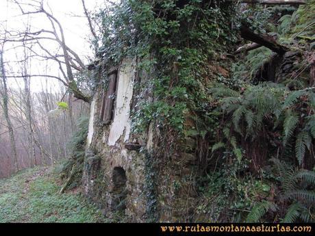 Senda de Bustavil, Tineo, PR AS-288: Edificio de la sierra hidráulica Senda de Bustavil, Tineo, PR AS-288: Edificio de la sierra hidráulica