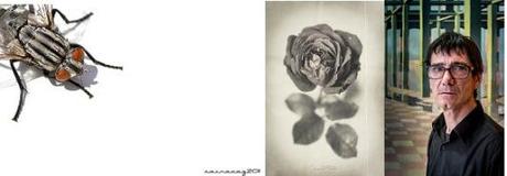 Ganadoras a falta de una semana