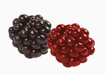 Beneficios de cada una de las Bayas y Frutos rojos contenidas en #Juice Plus+