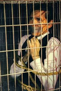 10850469_10152859817119831_960989655_n