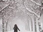 puedo escribir nieve...