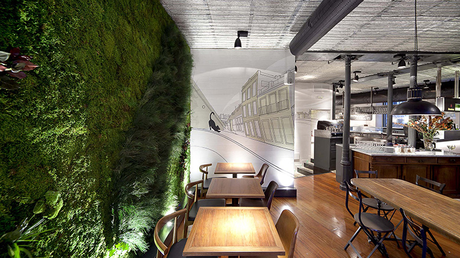 #DiarioDeco11 - Decorar con plantas + Sorteo