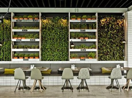 #DiarioDeco11 - Decorar con plantas + Sorteo