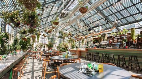 #DiarioDeco11 - Decorar con plantas + Sorteo