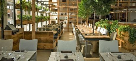 #DiarioDeco11 - Decorar con plantas + Sorteo