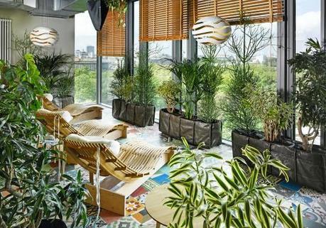 #DiarioDeco11 - Decorar con plantas + Sorteo