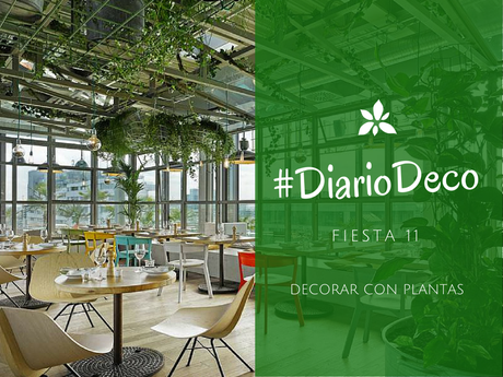 #DiarioDeco11 - Decorar con plantas + Sorteo