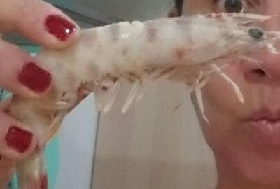 ¿Cómo no quererlo?