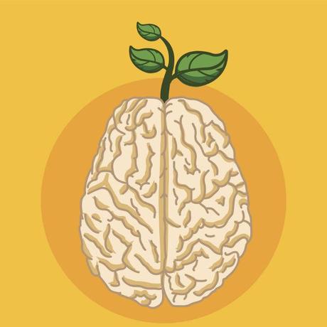 Mitos y Verdades de nuestro Cerebro, por Facundo Manes