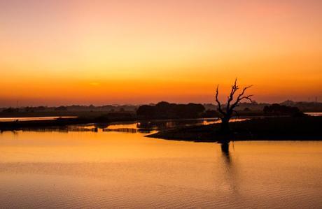 Ese árbol está ahí puesto para la foto, estoy seguro Ese árbol está ahí puesto para la foto, estoy seguro