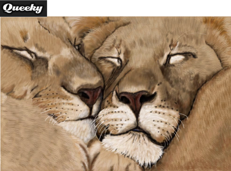 Queeky. Herramientas gratuitas para dibujar online y offline