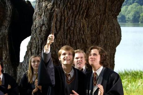 Del papel a la pantalla: HARRY POTTER Y LA ORDEN DEL FÉNIX