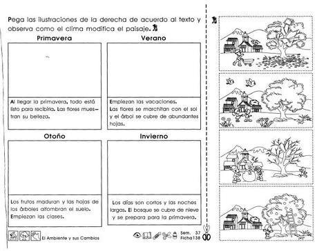 El ambiente y sus cambios: 3er grado El ambiente y sus cambios